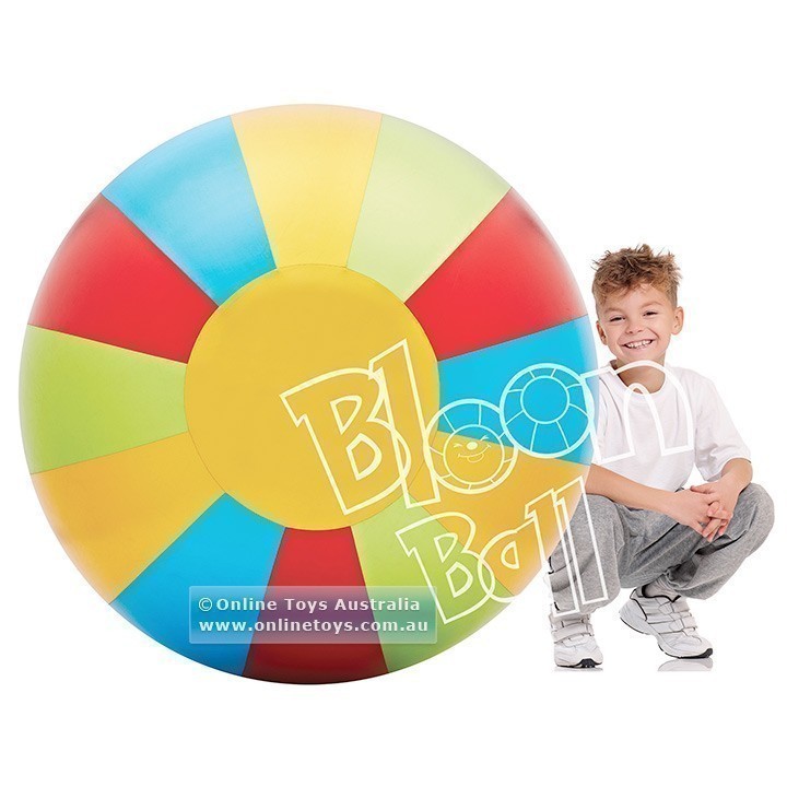 Bloon Ball - 100cm Wheel Multi Colour