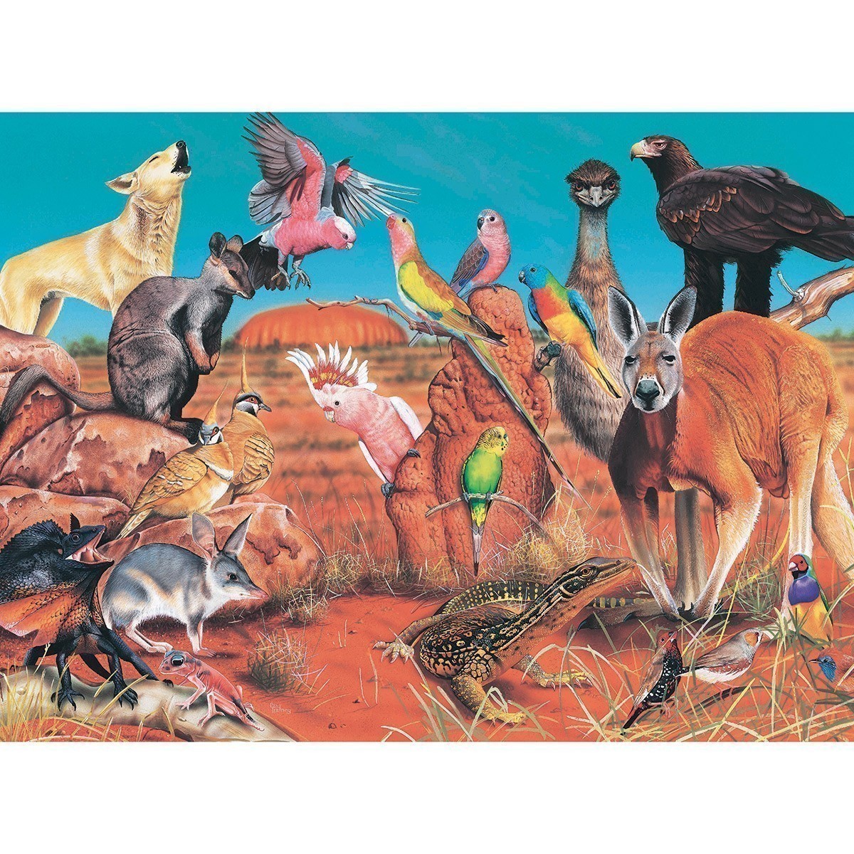 Blue Opal - Wild Australia - The Outback - 100 Piece