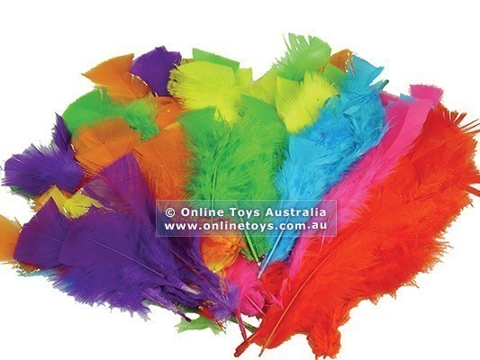 Colorific Feathers - Assorted Colours
