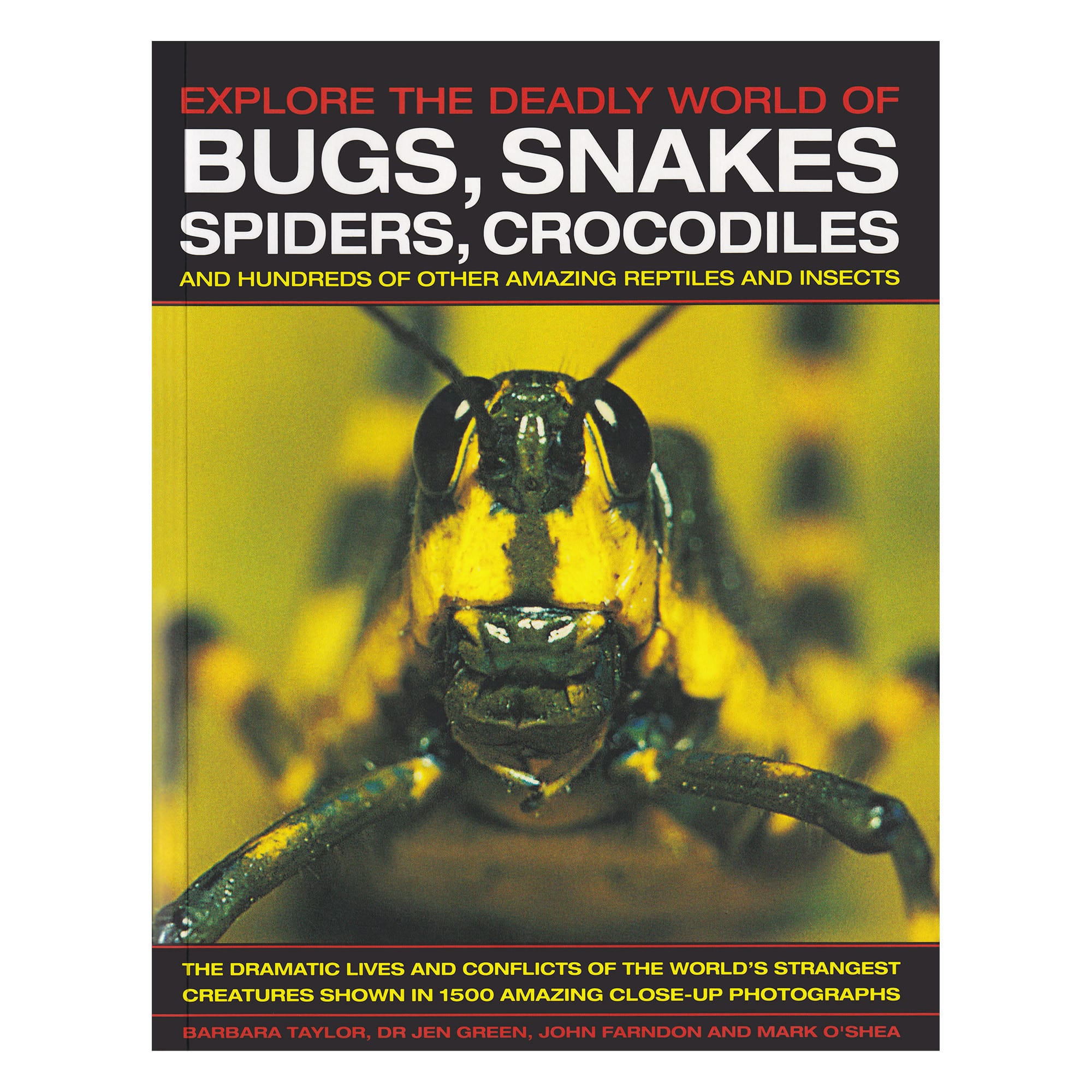 Explore The Deadly World Of Bugs, Snakes, Spiders, Crocodiles
