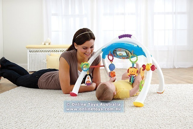 Fisher Price - Laugh and Learn - Apptivity Gym
