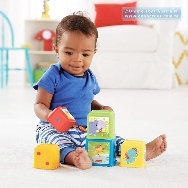 Fisher Price - Stack and Explore Blocks