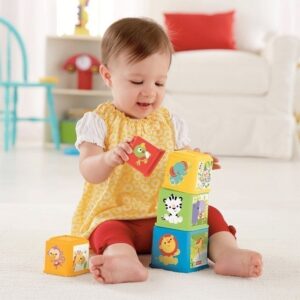 Fisher Price - Stack and Explore Blocks