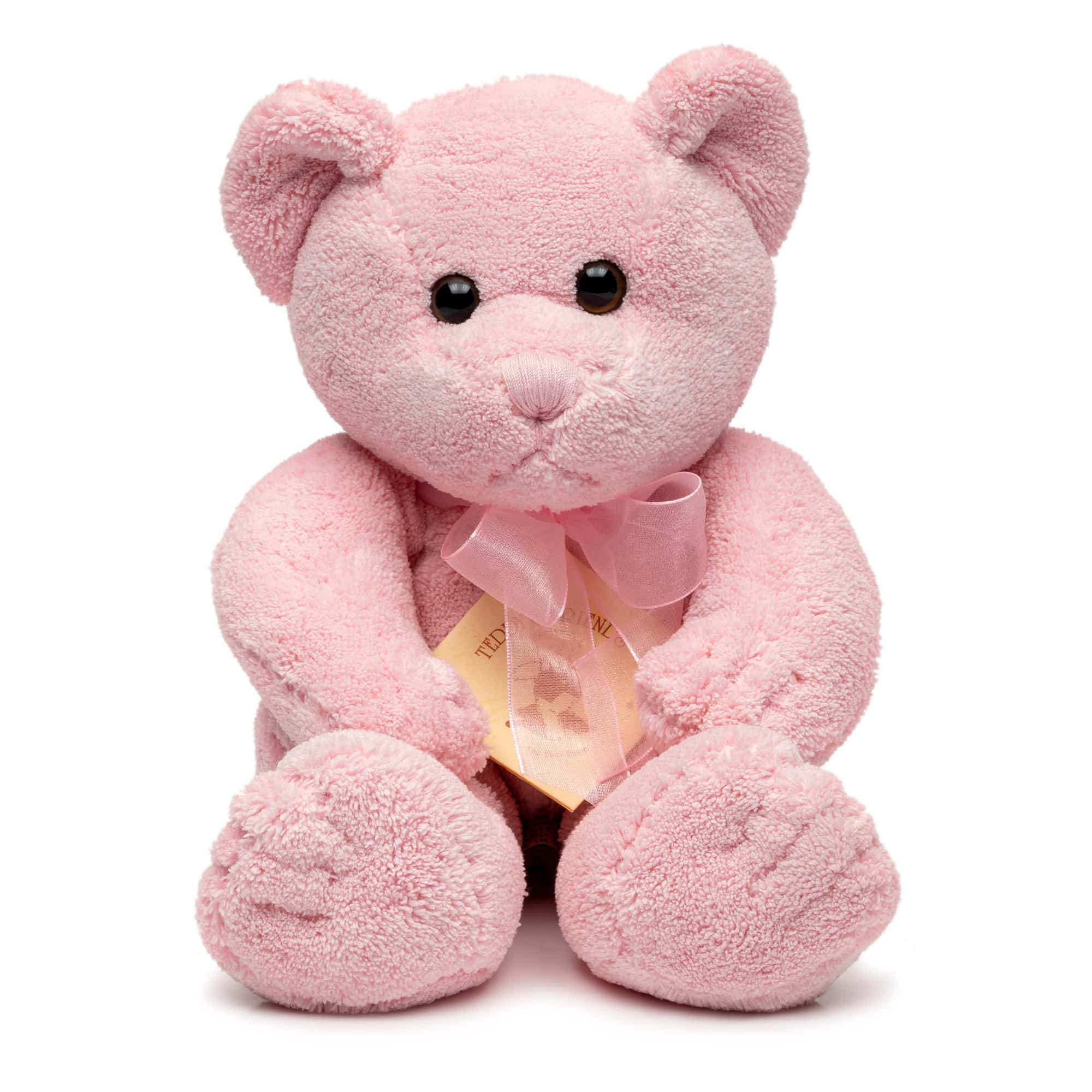 Gabby Teddy Bear 27cm Assortment