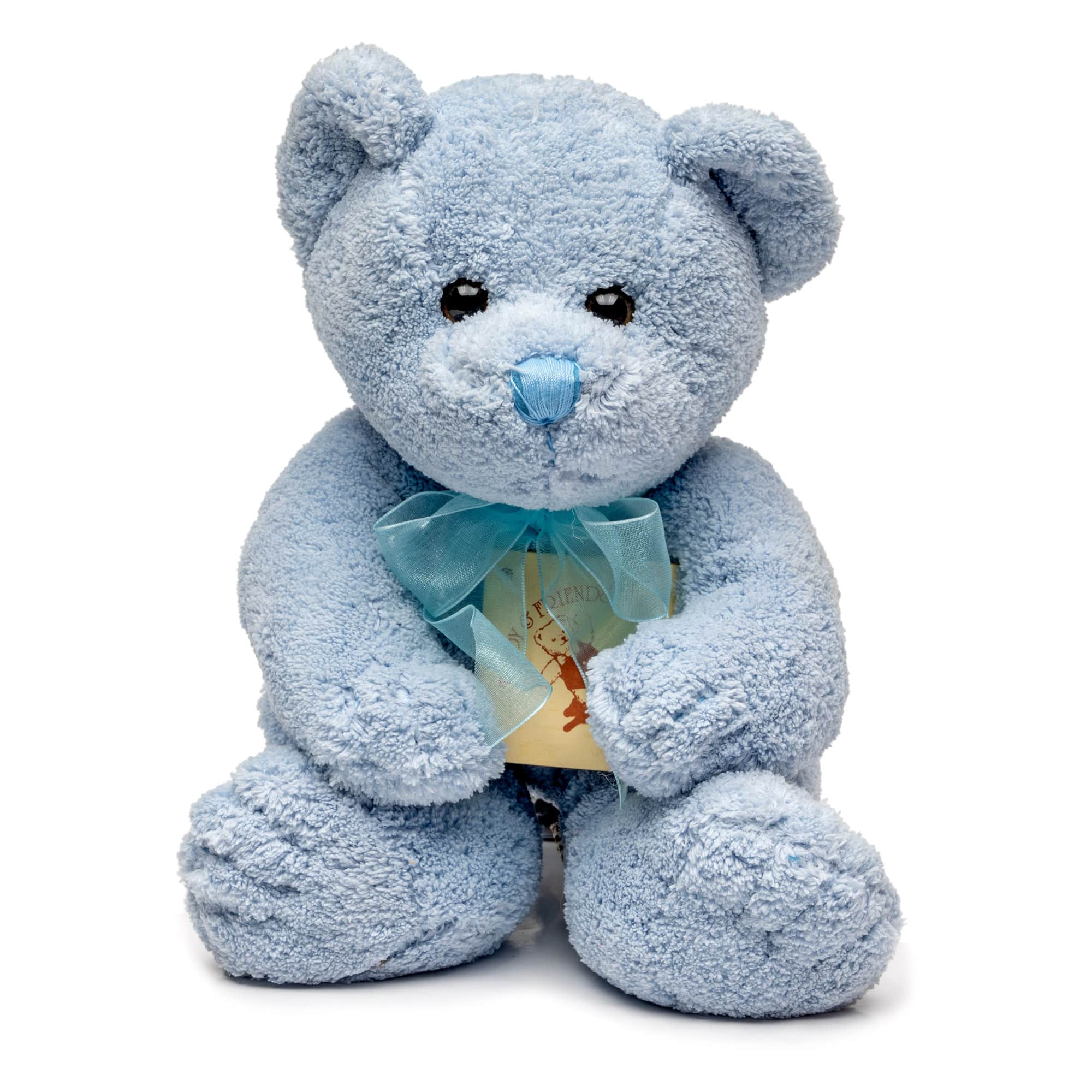 Gabby Teddy Bear 27cm Assortment
