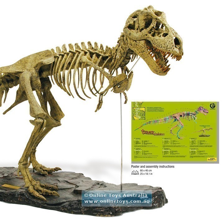 Geoworld - T-Rex Skeleton