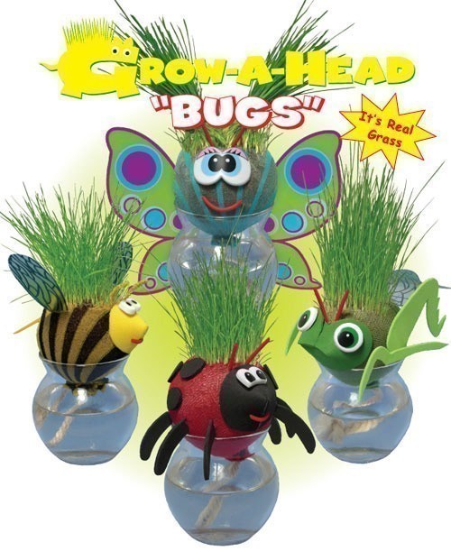 Grow-A-Head - Bugs