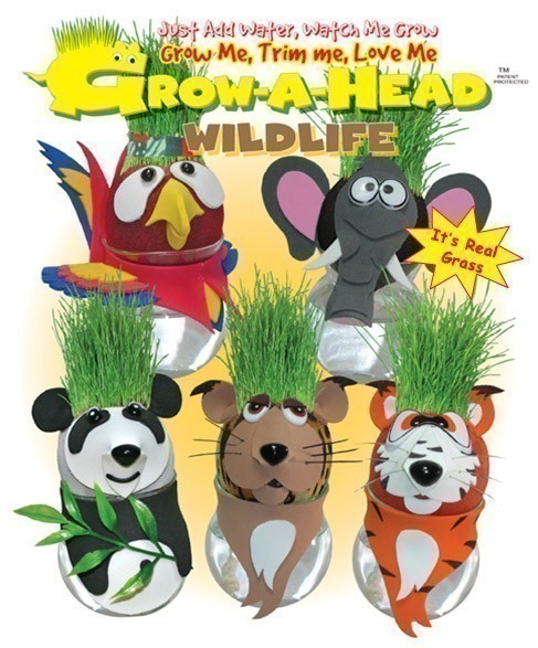 Grow-A-Head - Wildlife