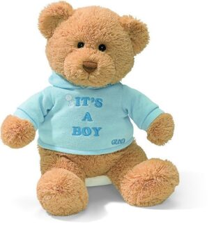 Gund - 30cm Message Bear - It's a Boy T-Shirt Bear