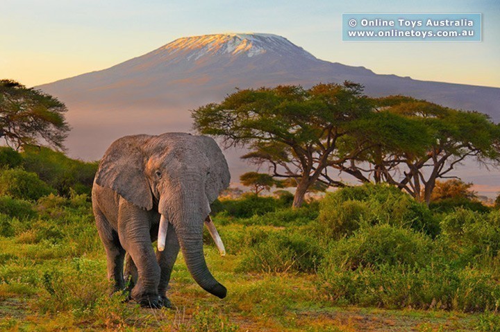 Ken Duncan - The Worlds Most Beautiful Jigsaw Puzzle 1000 Pieces - Grandeur of Kilimanjaro