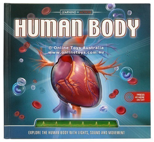 Learning in Action - Human Body
