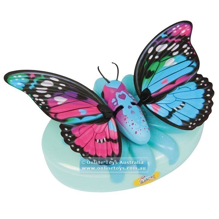 Little Live Pets - Butterfly - Rare Wings
