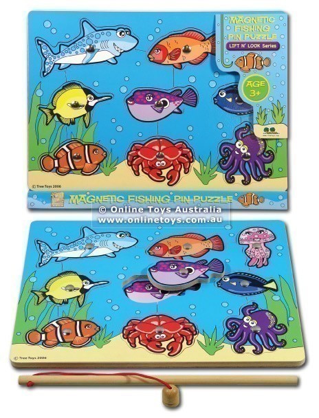 Magnetic Fishing Pin Puzzle