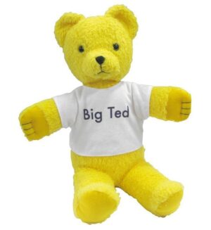 Play School - Big Ted - 40cm Plush