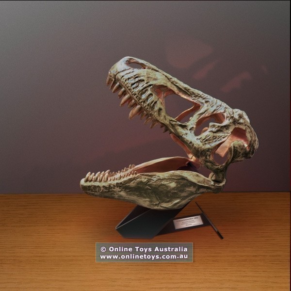 T-Rex In My Room - Light-Up Dino Skull