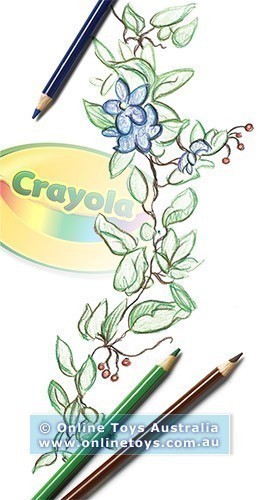 What can you do with Crayola?