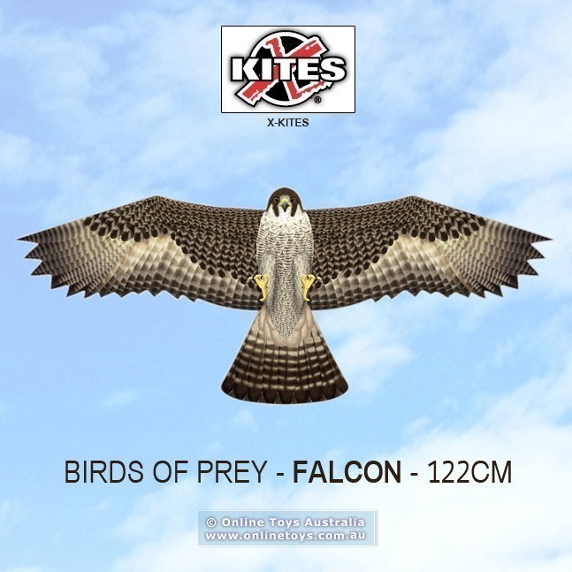XKites - Birds of Prey - Falcon 1.22m