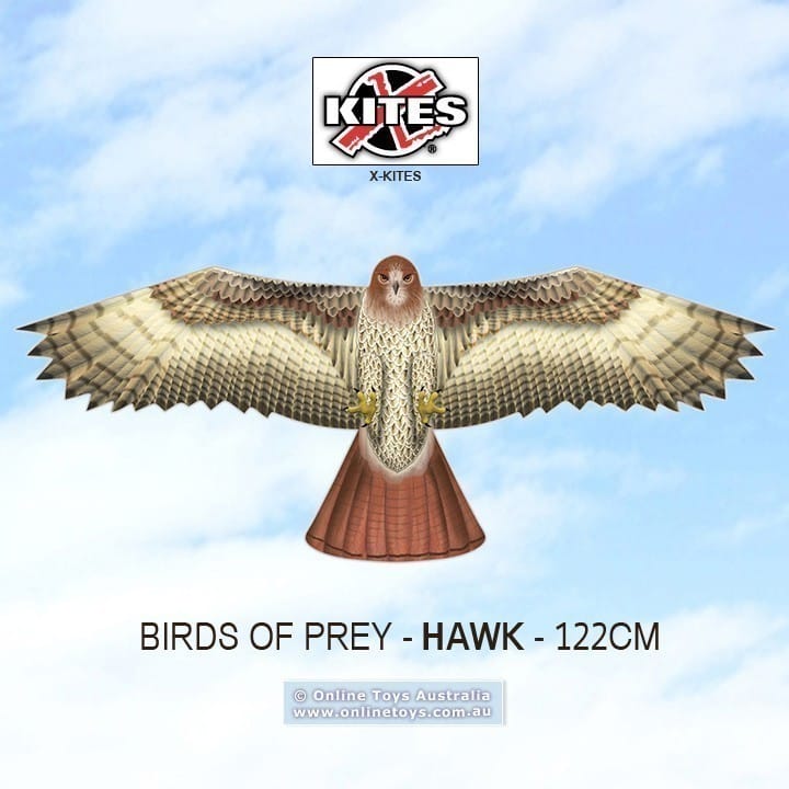 XKites - Birds of Prey - Hawk 1.22m