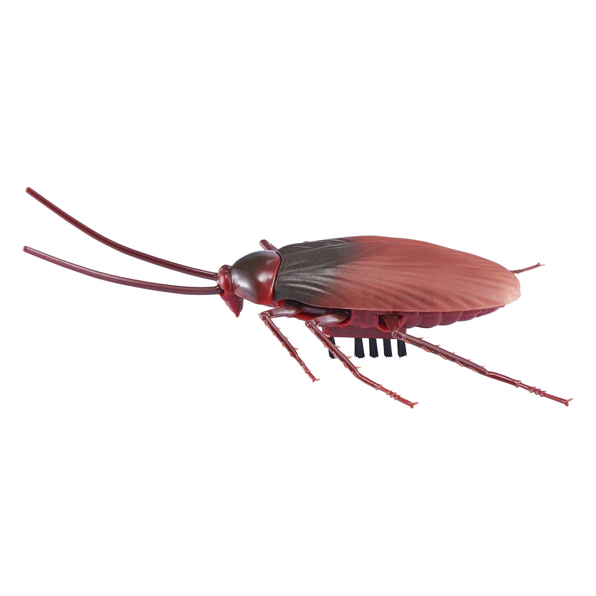 Zuru Robo Alive - Crawling Cockroach