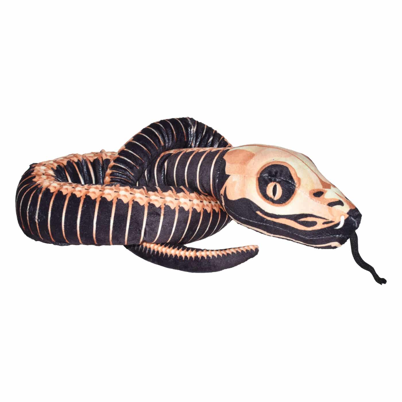 ATTACHMENT DETAILS 23612-wild-republic-snake-54-skeleton