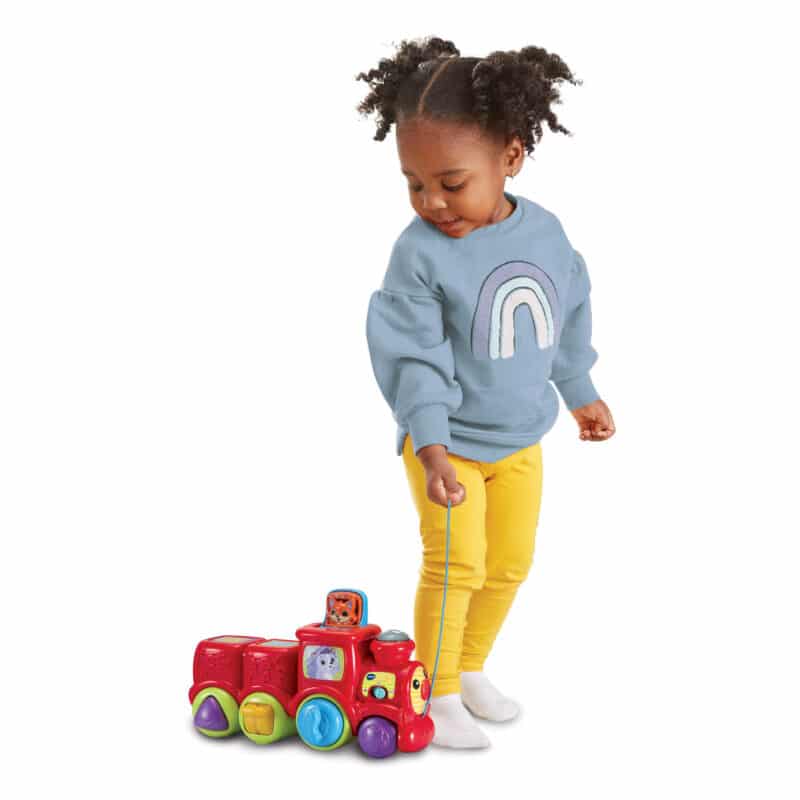 Vtech Baby Pop and Sing Animal Train