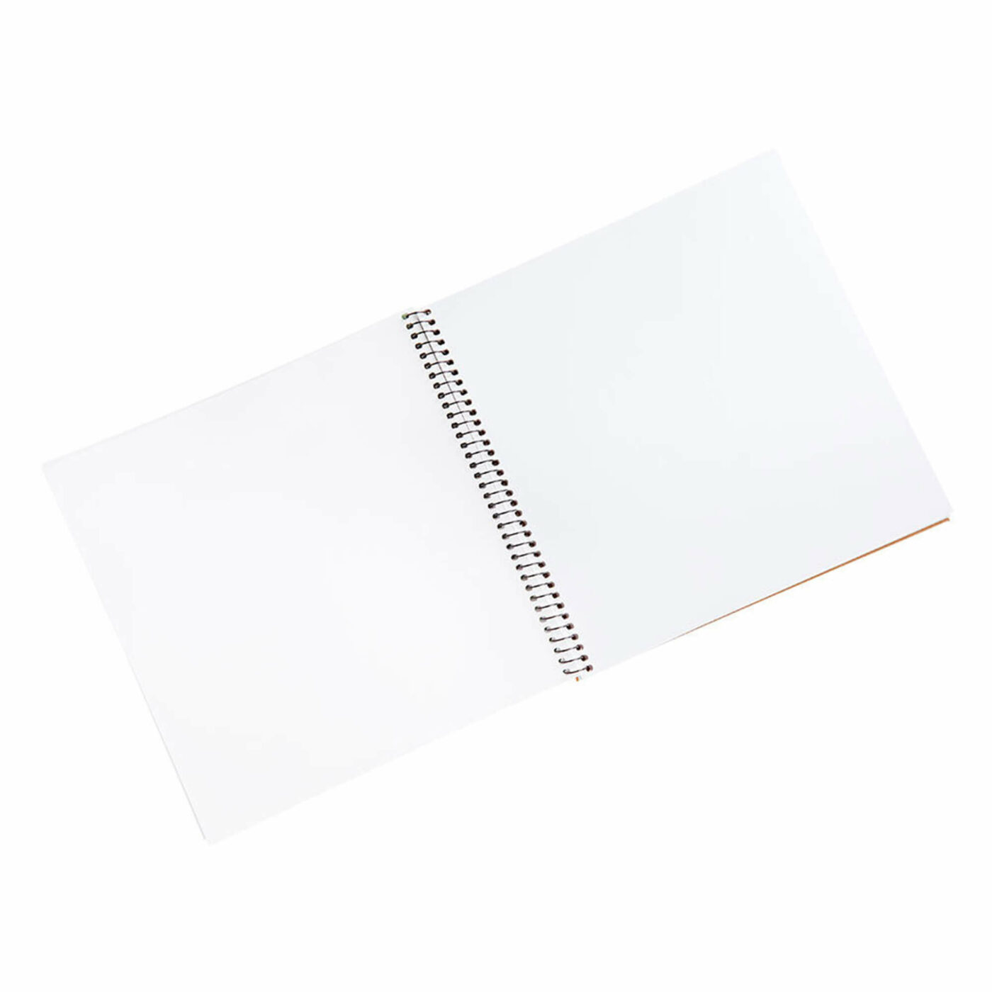 Crayola - Sketchbook3