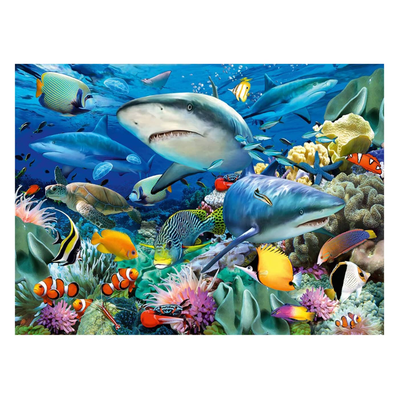Ravensburger - Reed of the Sharks Puzzle - 100XXL Pieces