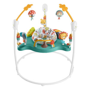 Front view of Fisher-Price Whimsical Forest Jumperoo