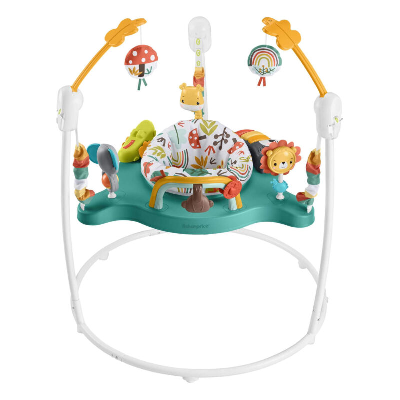 Front view of Fisher-Price Whimsical Forest Jumperoo